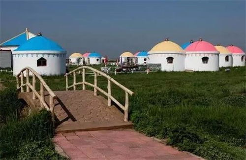 紫塞寻芳记 张北中都草原蒙汗大营的花海牧歌