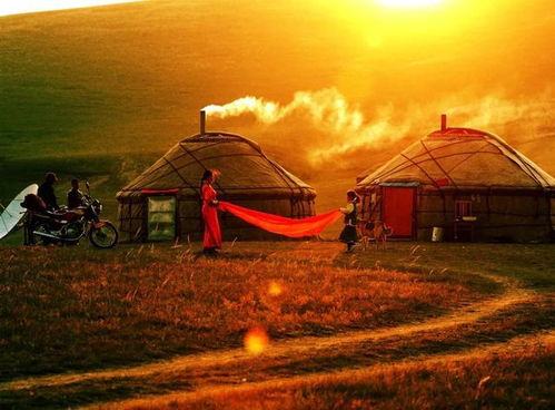 蒙古包营造技艺 草原上的流动智慧与非遗传承