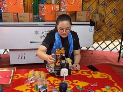 电商助农新风尚 “好物兴盟电商月”点亮草原特产蒙古包